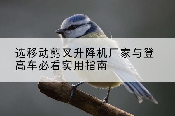 道里电动升降机厂家-选移动剪叉升降机厂家与登高车必看实用指南
