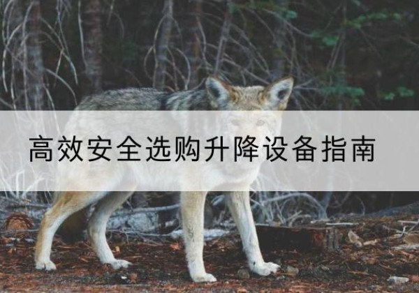 道里升降货梯厂家推荐-*安全选购升降设备指南