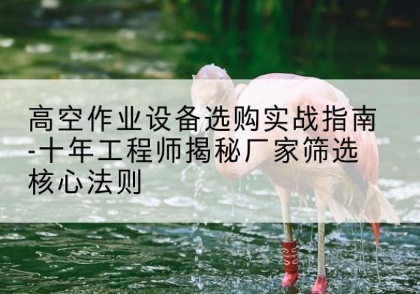 道里剪叉式升降机厂家-高空作业设备选购实战指南-十年工程师揭秘厂家筛选核心法则