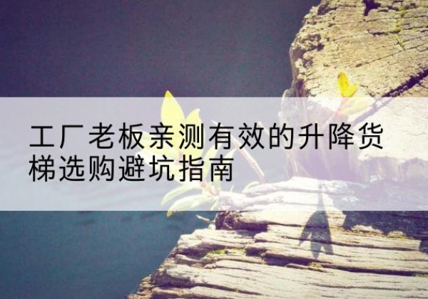 道里升降货梯怎么选-工厂老板亲测有效的升降货梯选购避坑指南